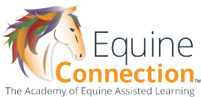 Equine Connection