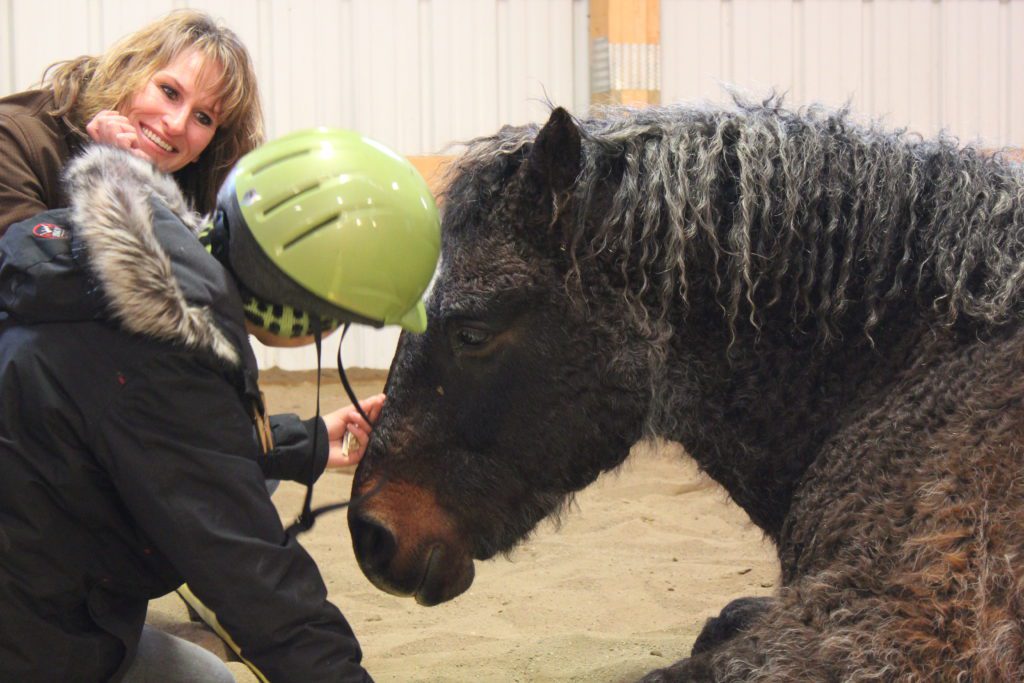 Horse Course | A Career With Horses | Equine Assisted Learning |