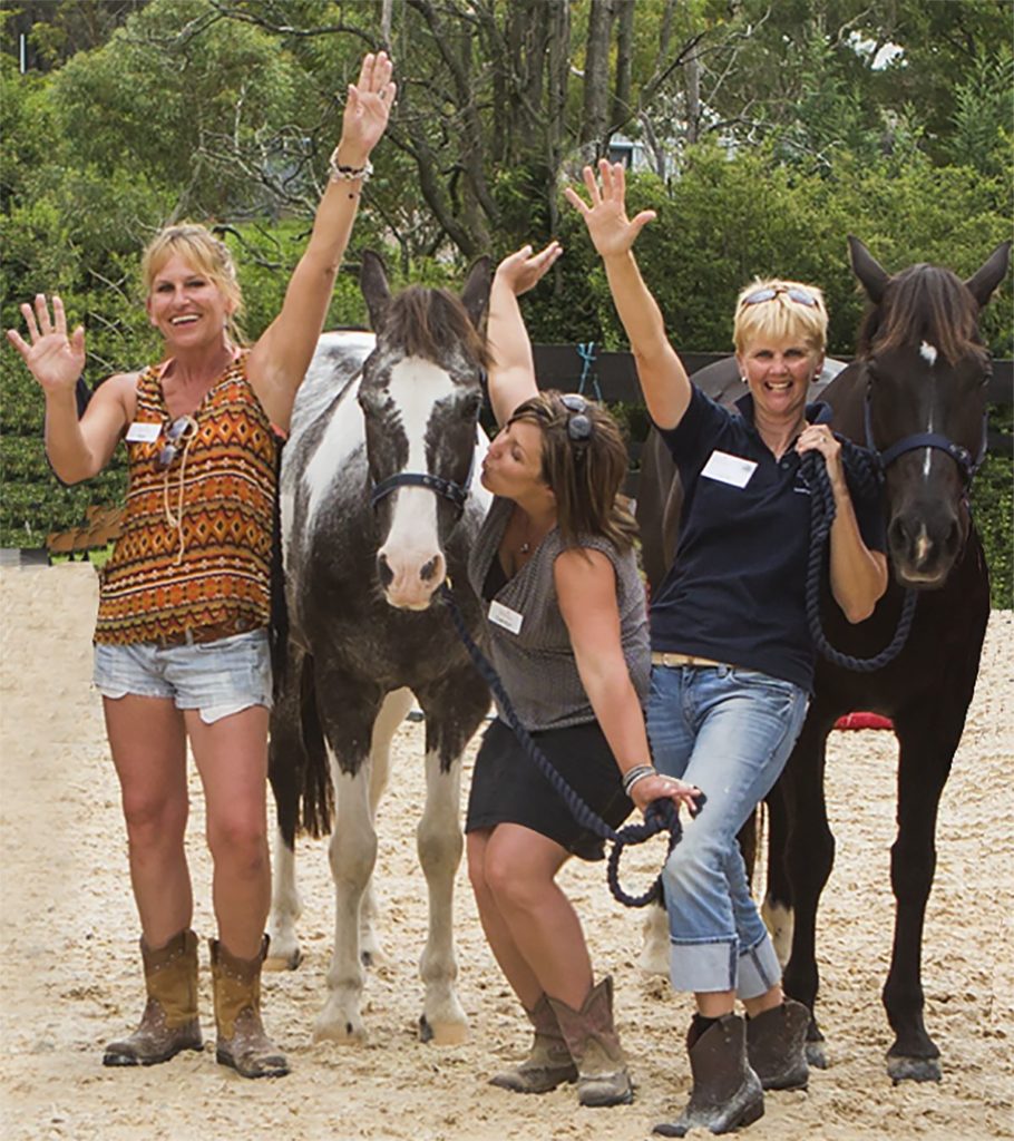 Equine Connection's team of experts passionate about creating the best possible experience for you.
