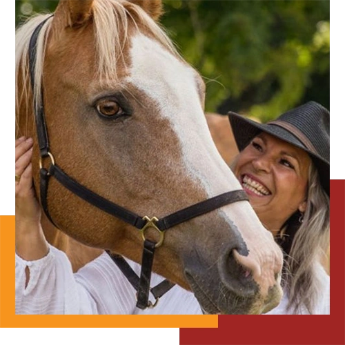 Horse Certification Course | Equine Connection | Horse Business