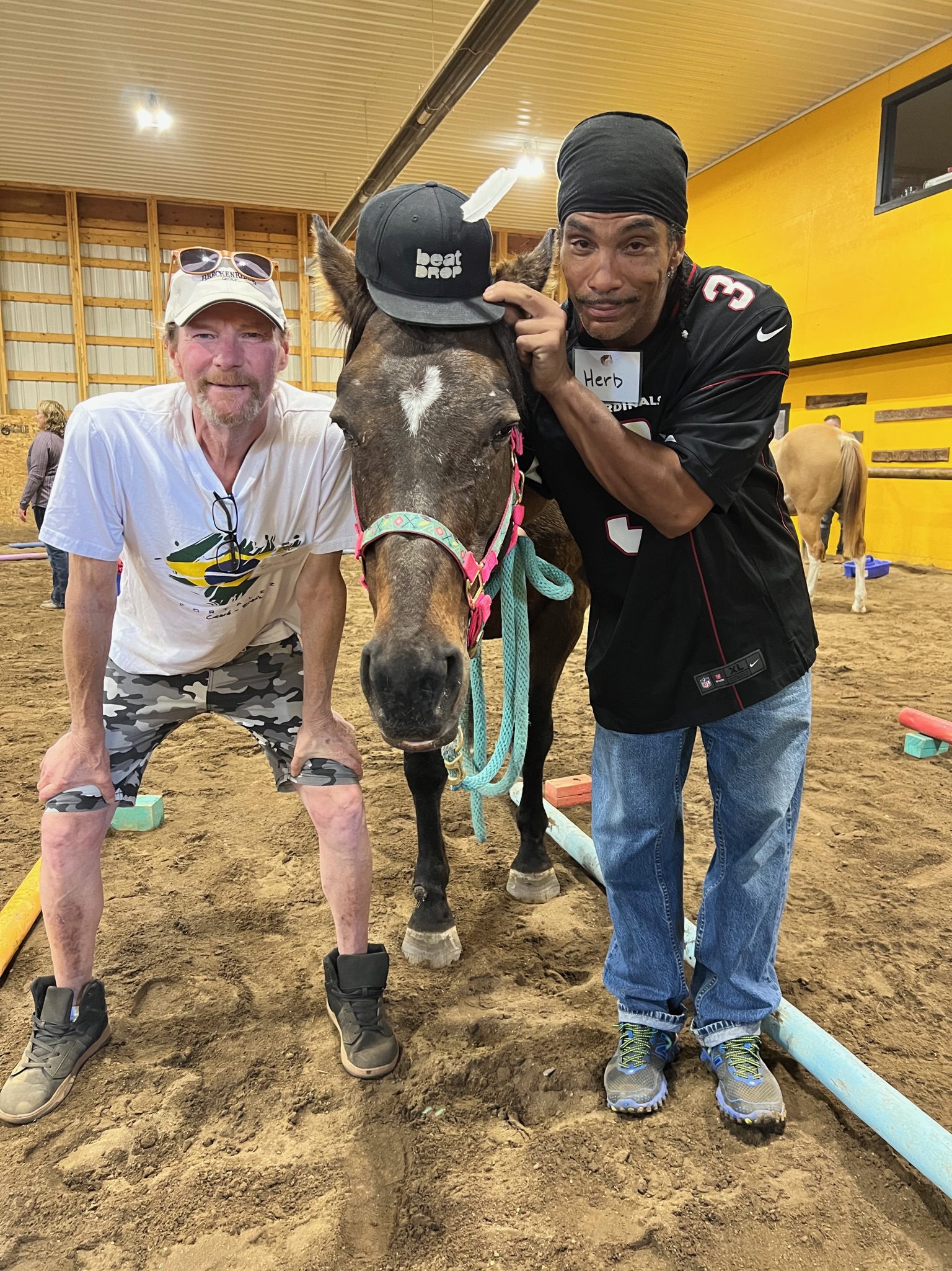 curriculum programs with horses Equine Connection