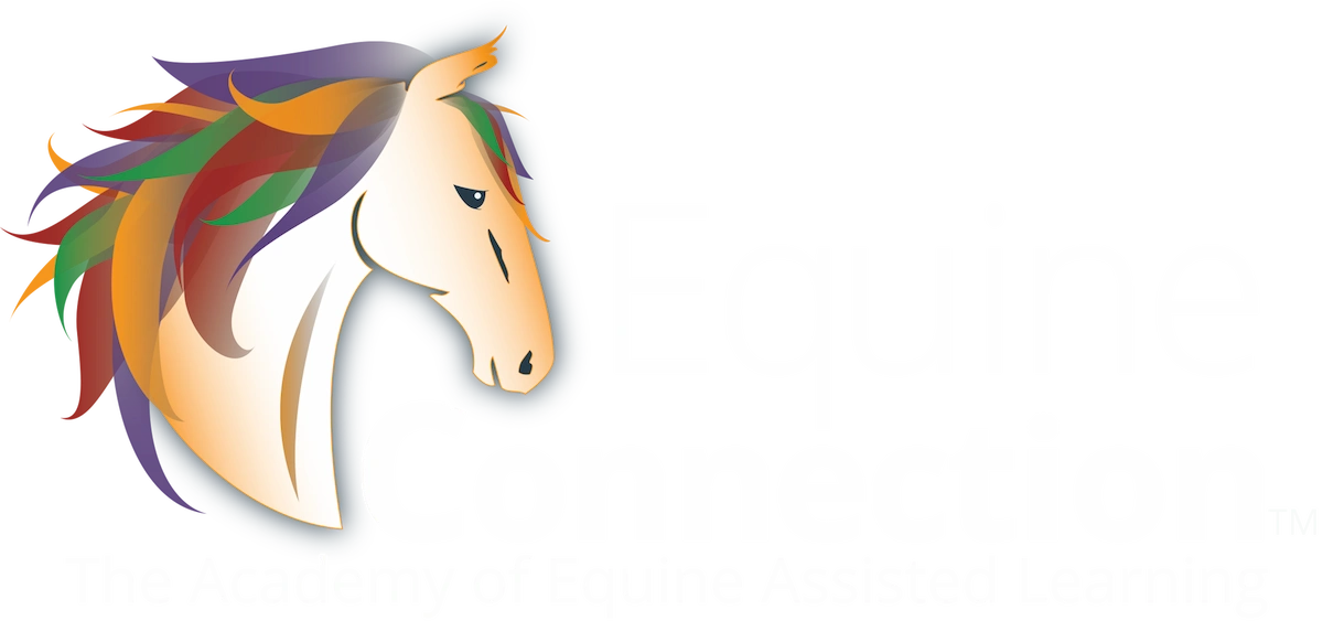 Academy_white_EC_Logo