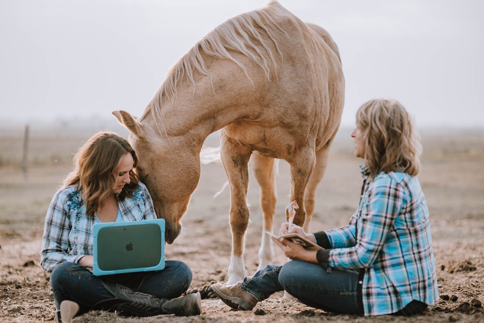 Horse Certification Course | Equine Connection | Horse Business