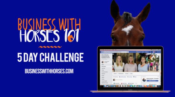 Business with horses challenge