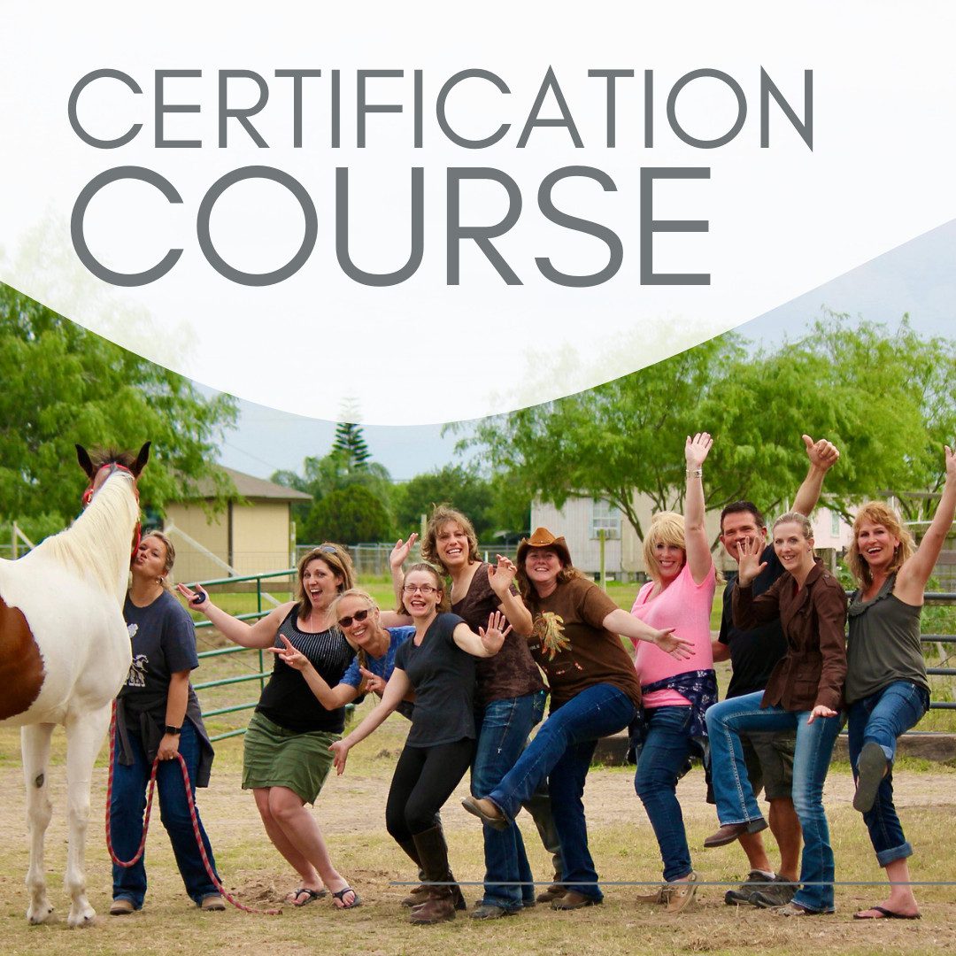 Certification_course_reviews