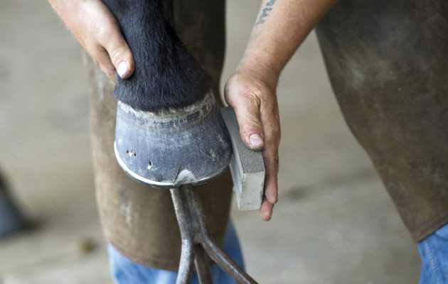 farrier